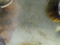 DSC02671.jpg