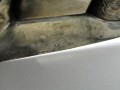 DSC03215.jpg
