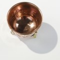 DSC03476.jpg