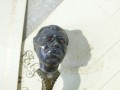DSC06400.JPG
