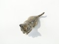 DSC07084.JPG