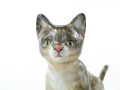 DSC07085.JPG