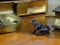 DSC00252.jpg