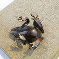 DSC00831.jpg