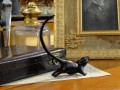 DSC00427.jpg