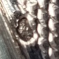 1000062720.jpg