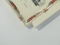 DSC07730.JPG