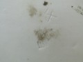 DSC07681.JPG