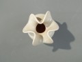 DSC07940.JPG