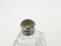 DSC07818.JPG