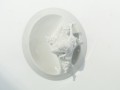 DSC07769.JPG