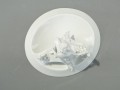 DSC07947.JPG