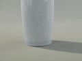 DSC07935.JPG