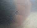 DSC08140.JPG