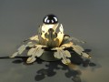 DSC08021.JPG