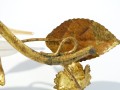 DSC08111.JPG