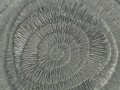 DSC08422.JPG