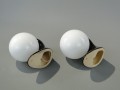 DSC08356.JPG