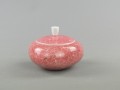 DSC08504.JPG