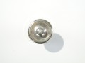 DSC08703.JPG