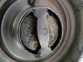 DSC08710.JPG