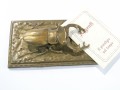 DSC00206.JPG