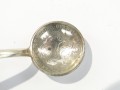 DSC00520.JPG
