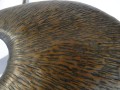 DSC00794.JPG
