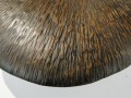 DSC00799.JPG