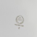 DSC05984.jpg
