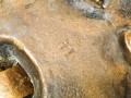 DSC04700.jpg