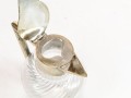 DSC03329.jpg