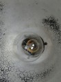 DSC08915.jpg